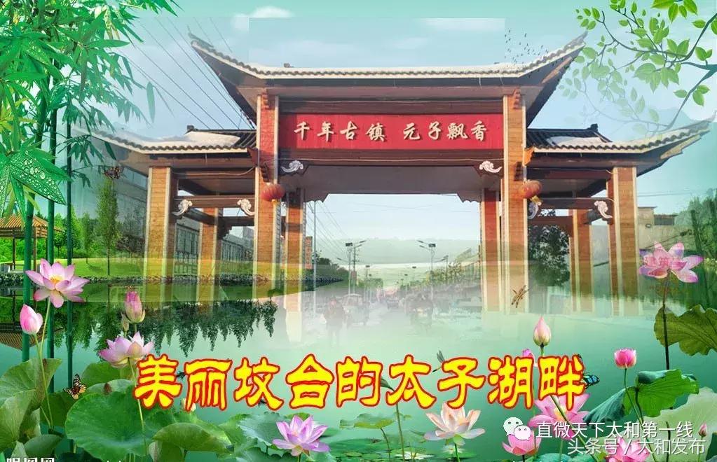 太和美景公园最新动态——绿色生态的魅力与城市共舞