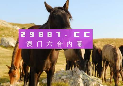 澳门管家婆一肖一码一中一开|全面释义解释落实